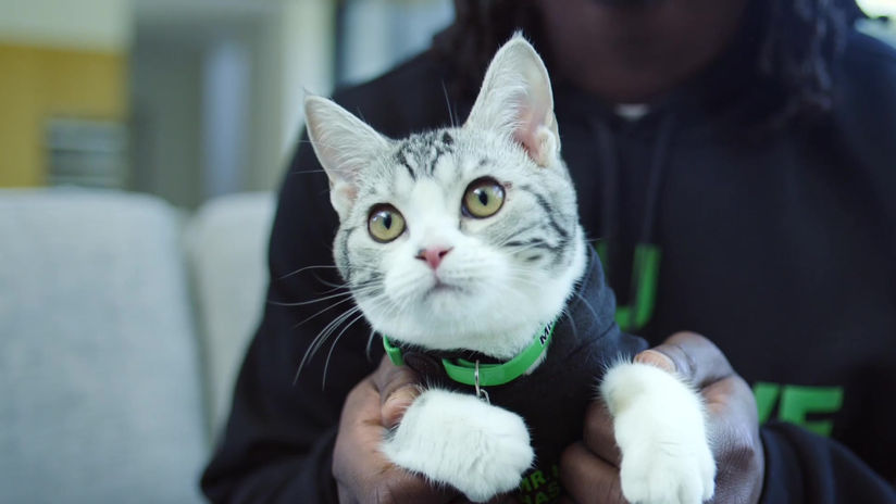 Todd Gurley - Social videos